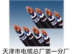 PTYA22鐵路信號電纜_供應(yīng)產(chǎn)品_天津市電纜總廠第一分廠