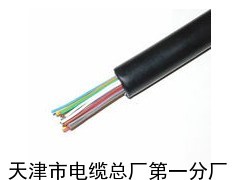 鐵路信號電纜線PTYY_供應產(chǎn)品_天津市電纜總廠第一分廠