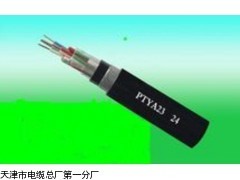 阻燃鐵路信號(hào)電纜ZR-PTY23-電線電纜_供應(yīng)產(chǎn)品_天津市電纜總廠第一分廠