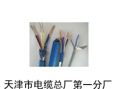 鐵路信號電纜PZYA_供應(yīng)產(chǎn)品_天津市電纜總廠第一分廠