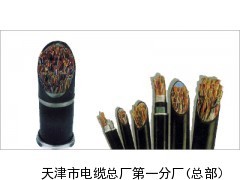 PTYA23-鐵路信號電纜_供應產品_天津市電纜總廠第一分廠(總部)