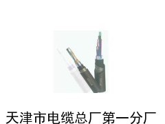 鐵路信號電纜PTYA22_供應產(chǎn)品_天津市電纜總廠第一分廠